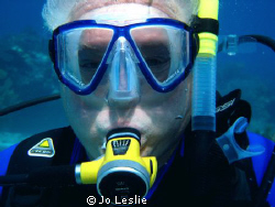 diving fool by Jo Leslie 